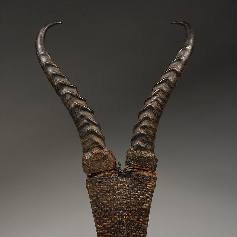 Nubian Blade Duo with Horn Handles Possibly Shilluk, South Sudan